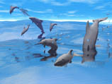 Dolphins