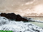 Cold