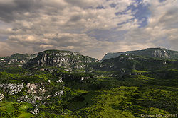 Ravines in Hills
